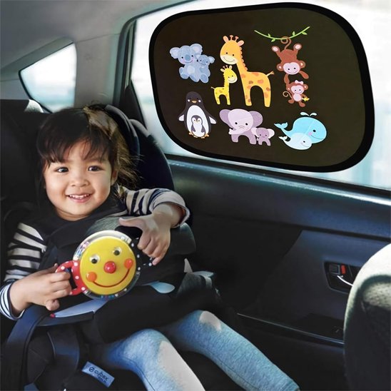 Pare soleil voiture | FraisCool™