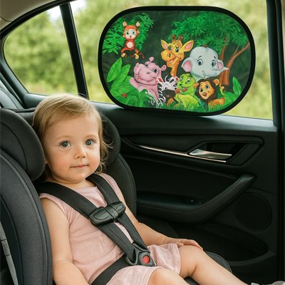 pare soleil voiture