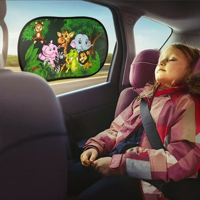 pare soleil voiture